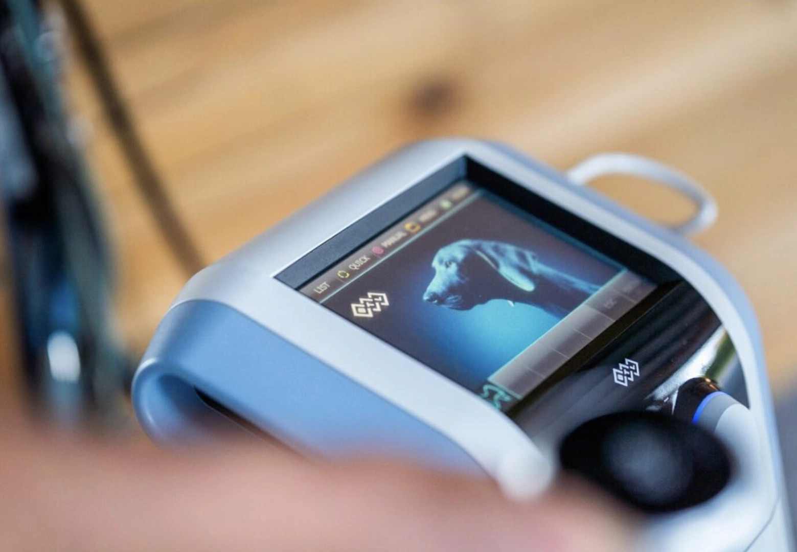 Physikalische Therapie Wie ein Global Player die Tiermedizin revolutionieren will!