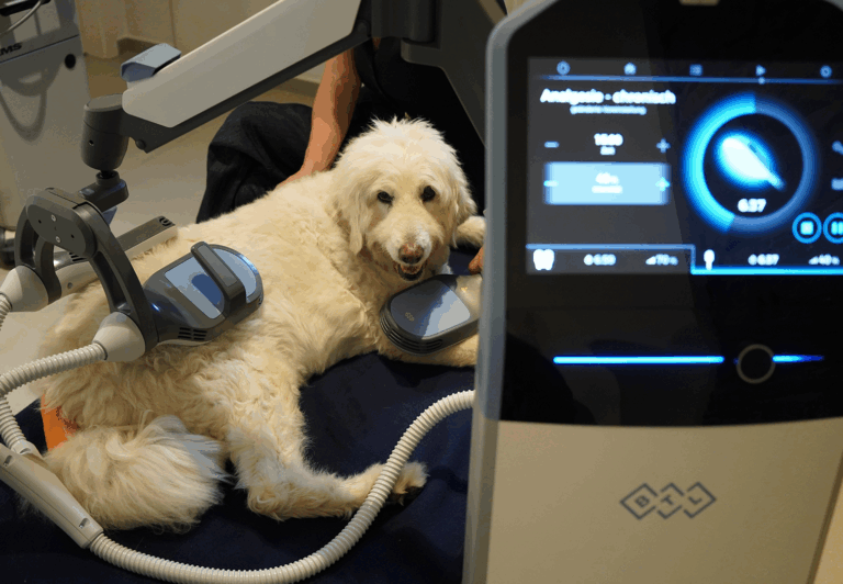 Super-Inductive-System-DUO---Einsatz-in-der-Veterinärmedizin