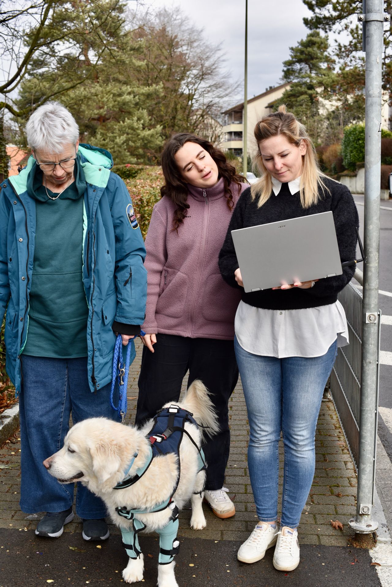 LupoGait Anwendung Tierarzt