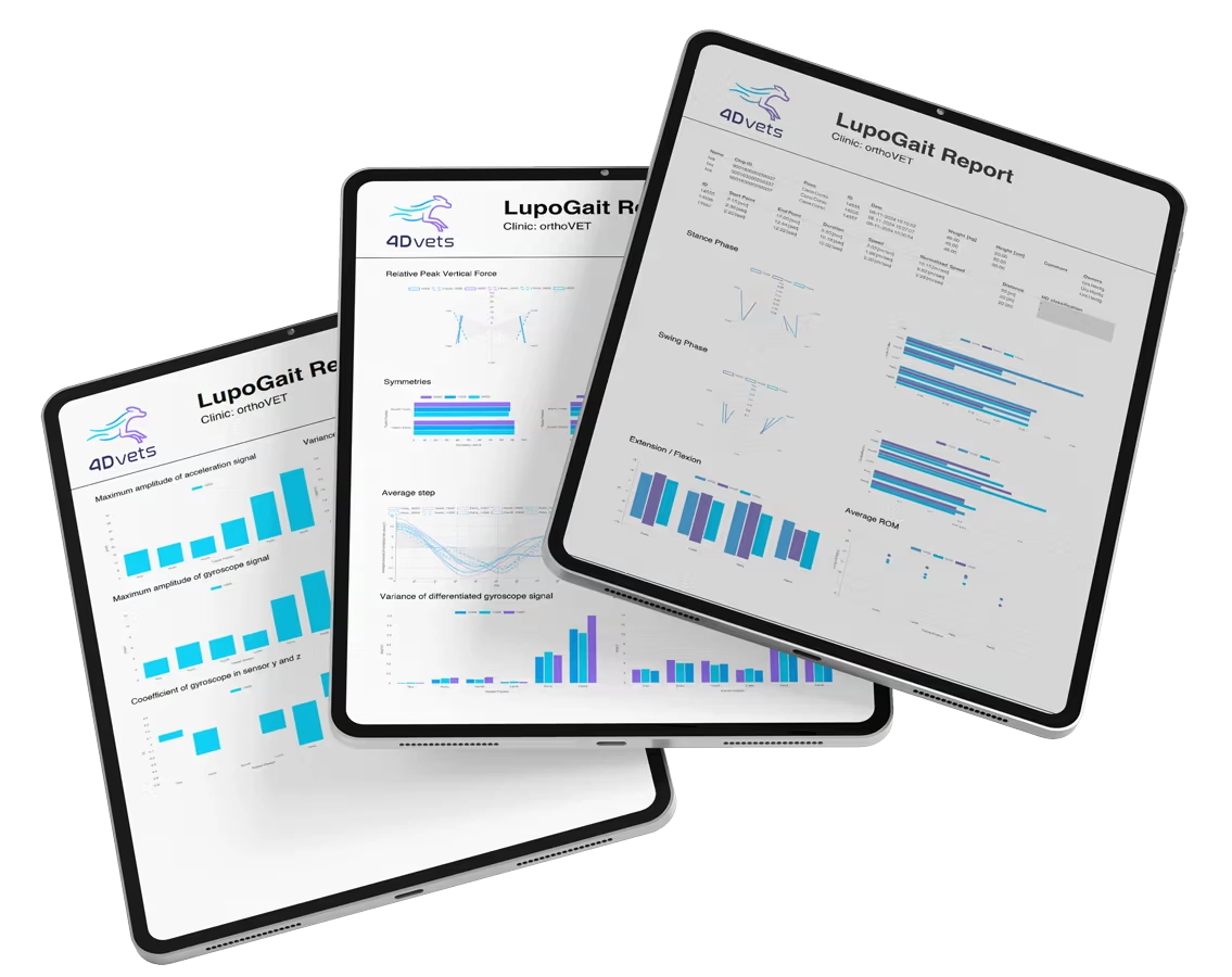 Ganganalyse System Hund
